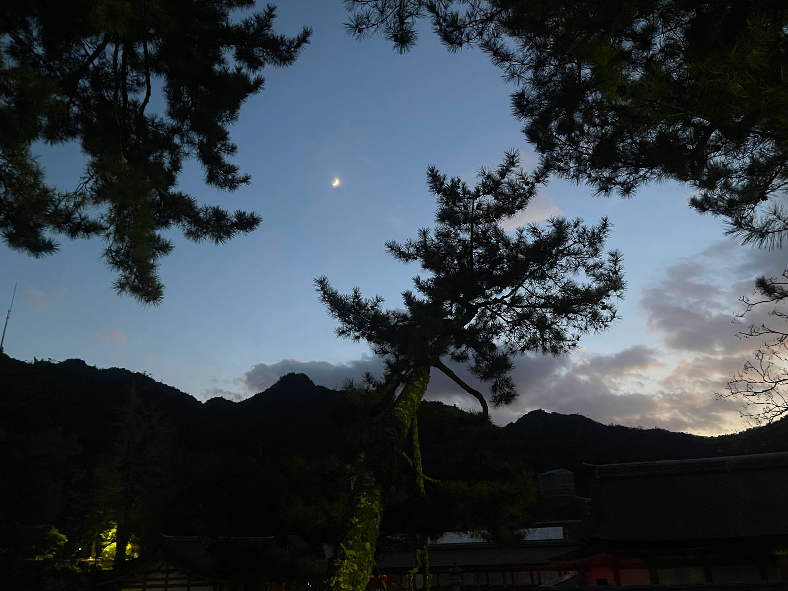 干潮の厳島神社 大鳥居を見るため、夕暮れの宮島をプラプラしてみたよ！／広島県廿日市