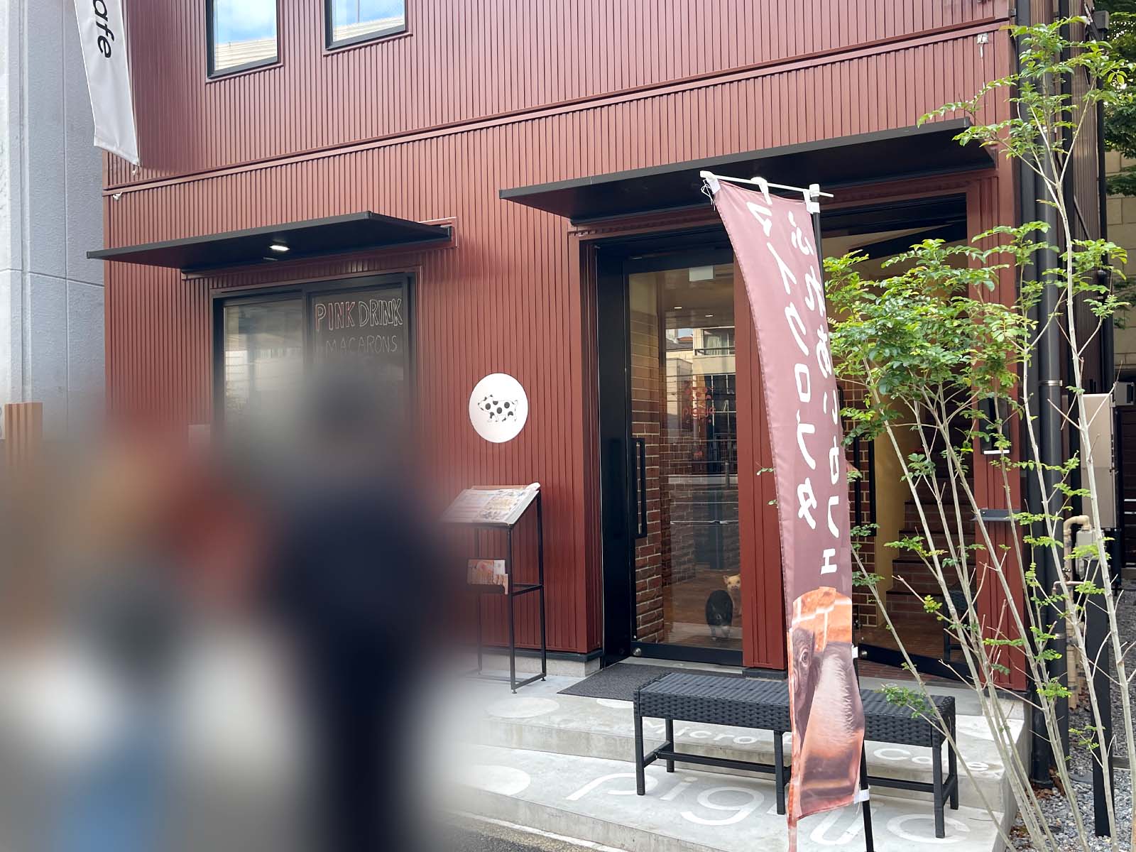 マイクロブタと触れ合える「pignic cafe 横浜店」に行ってみた！／横浜・元町