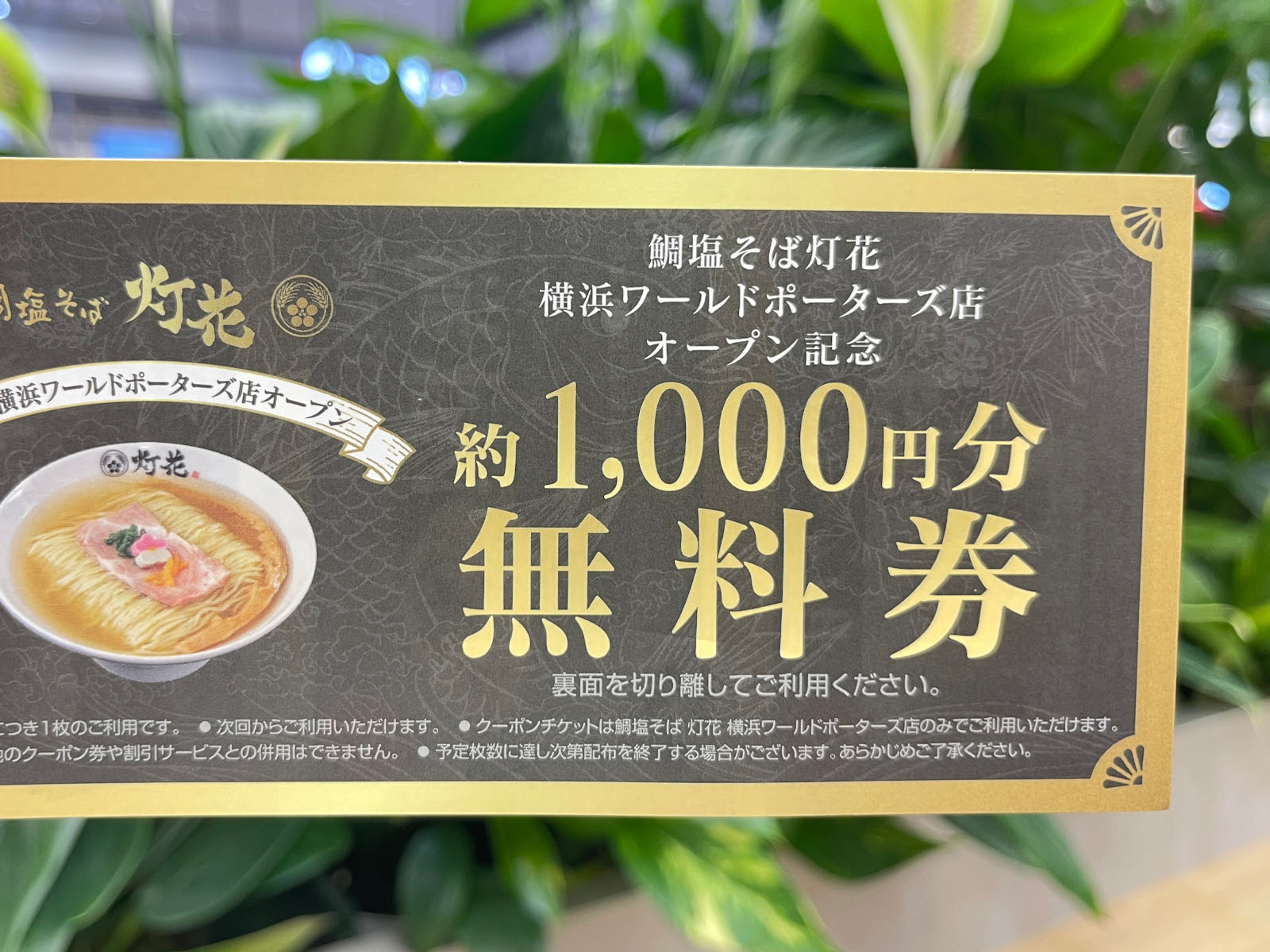 鯛塩そば灯花の「胡麻鯛茶漬け」と「鯛塩ラーメン」のセット食べたよ！／横浜ワールドポーターズ