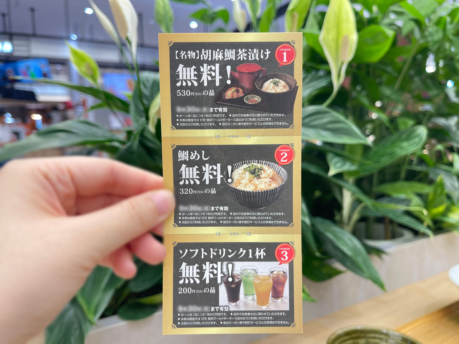 鯛塩そば灯花の「胡麻鯛茶漬け」と「鯛塩ラーメン」のセット食べたよ！／横浜ワールドポーターズ