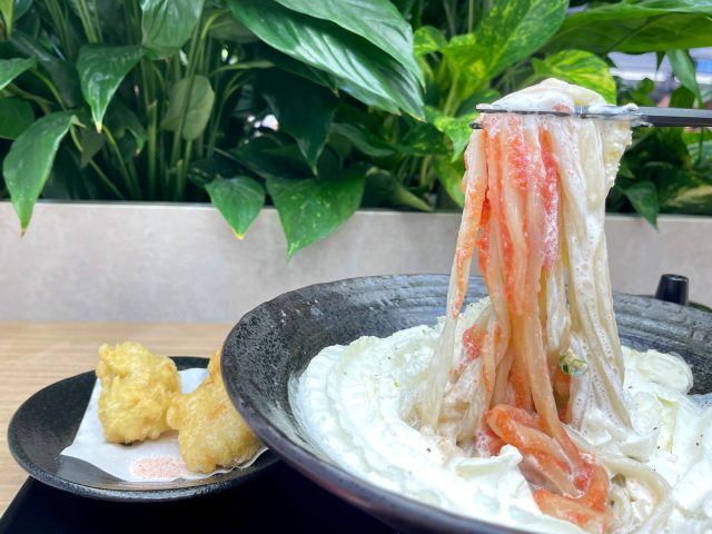 山下本気うどんの「白い明太チーズクリーム」と「鶏天」食べたよ！／横浜ワールドポーターズ