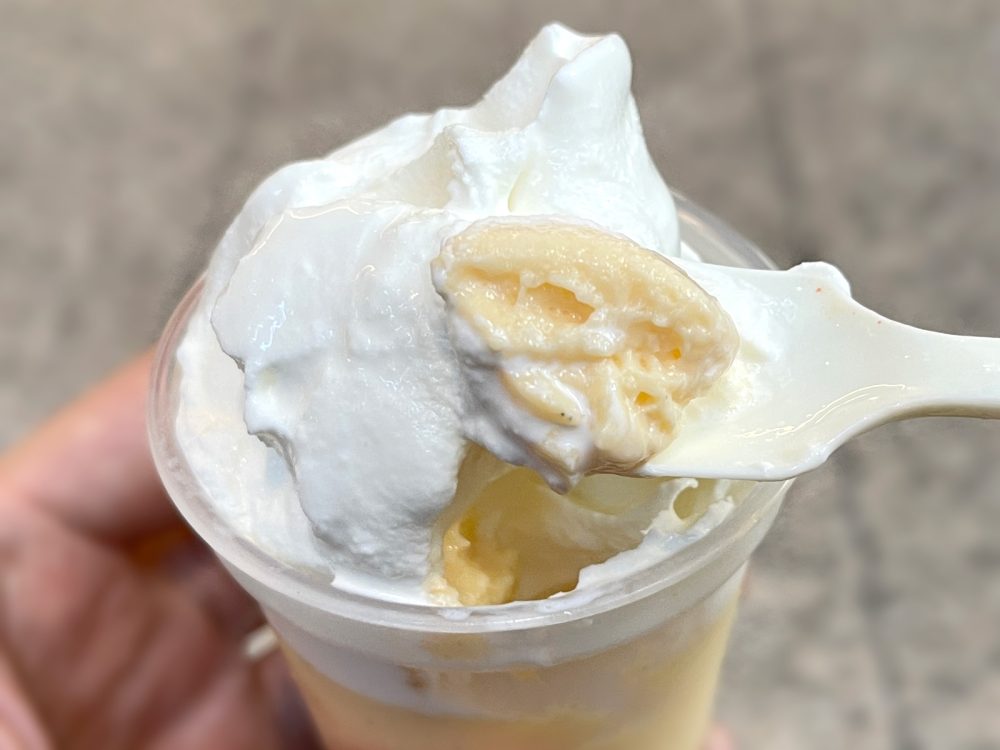 Gelato Firenze (ジェラート フィレンツェ) で固めプリンの上にソフトクリームが乗った「フィレンツェプリン」食べた！／横浜ランドマークタワー