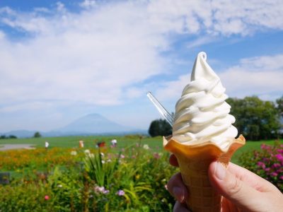 レークヒル・ファーム （Lake-Hill Farm） で季節限定ソフトクリーム(まきばのミルクソフト)食べたよ／北海道洞爺湖