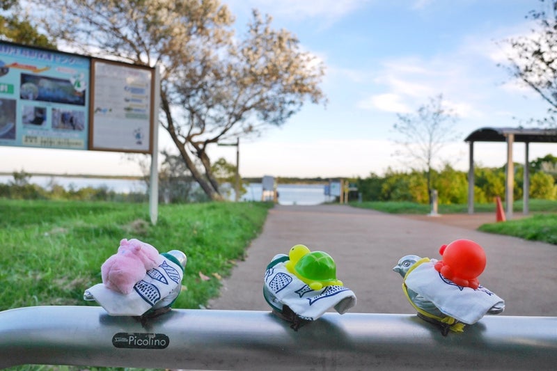 豊かな自然を満喫できる道の駅「ウトナイ湖」の屋上デッキ／北海道苫小牧市