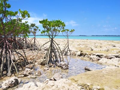 東洋一の美しさと言われる「与那覇前浜ビーチ」のパウダーサンド／宮古島