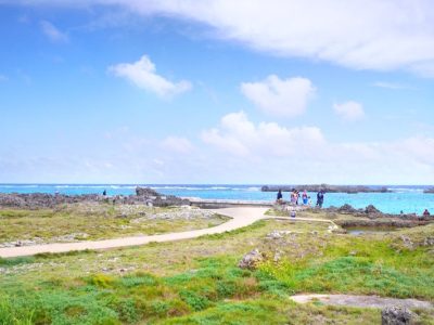 炭火焼肉「琉宮苑」で島野菜のナムルとアグー豚と宮古牛食べたよ／宮古島