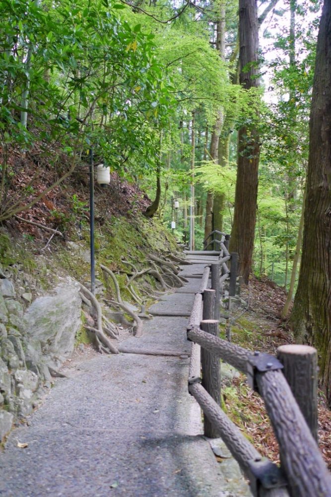 吉野川の大歩危小歩危から秘境「祖谷のかずら橋」日本三奇橋の絶景をめぐる／徳島県三好市