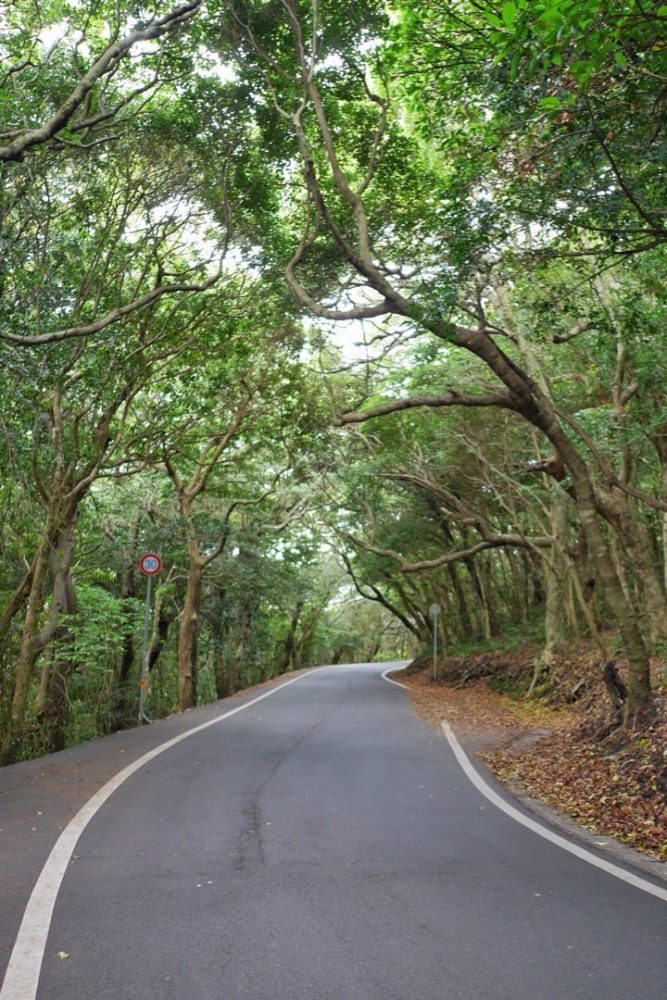 四国最南端の地で「足摺岬灯台」見たよ足摺宇和海国立公園／高知県土佐清水市