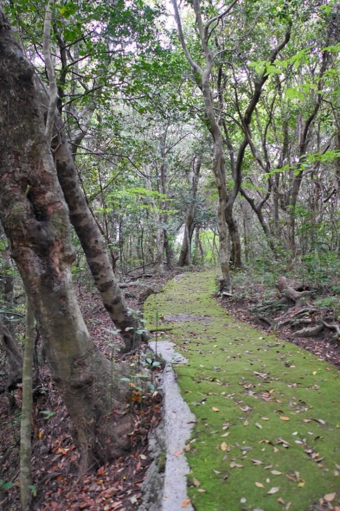 四国最南端の地で「足摺岬灯台」見たよ足摺宇和海国立公園／高知県土佐清水市