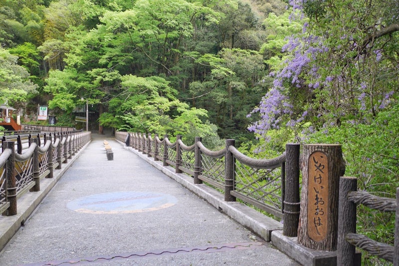 吉野川の大歩危小歩危から秘境「祖谷のかずら橋」日本三奇橋の絶景をめぐる／徳島県三好市