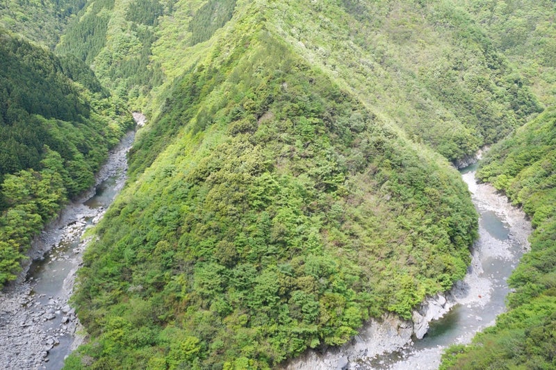 深く切り込んだV字型の渓谷「ひの字渓谷」祖谷渓の小便小僧／徳島県三好市