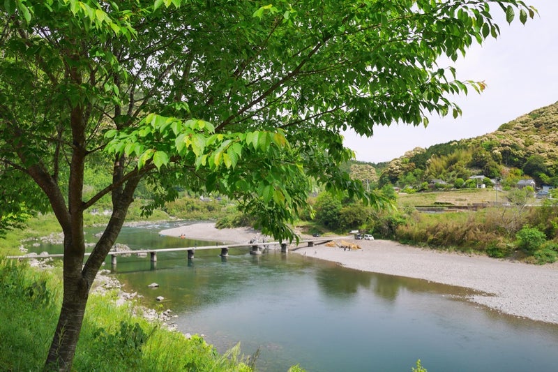 四万十川で沈下橋見たよ（上岡沈下橋・半家沈下橋・長生沈下橋・岩間沈下橋・勝間沈下橋）／高知県四万十市