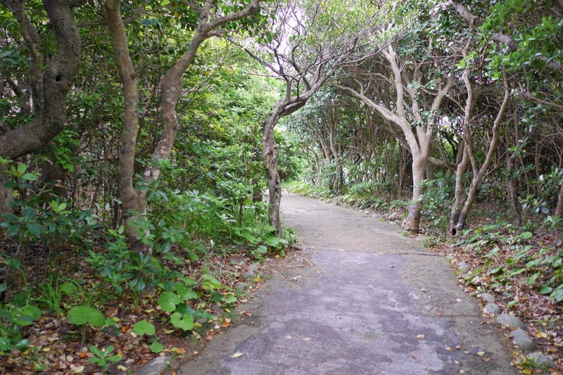 四国最南端の地で「足摺岬灯台」見たよ足摺宇和海国立公園／高知県土佐清水市