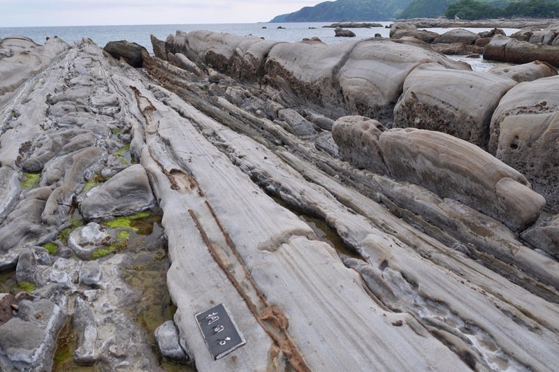 波や風によって浸食されて作られた「竜串海岸」竜串・見残し奇岩パーク／高知県土佐清水市