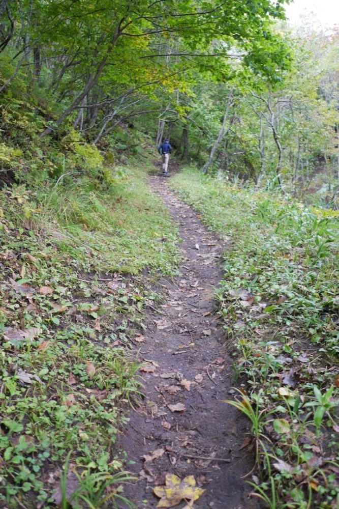 釧路湿原最大の塘路湖を一望できる展望台「サルボ展望台」／北海道標茶町