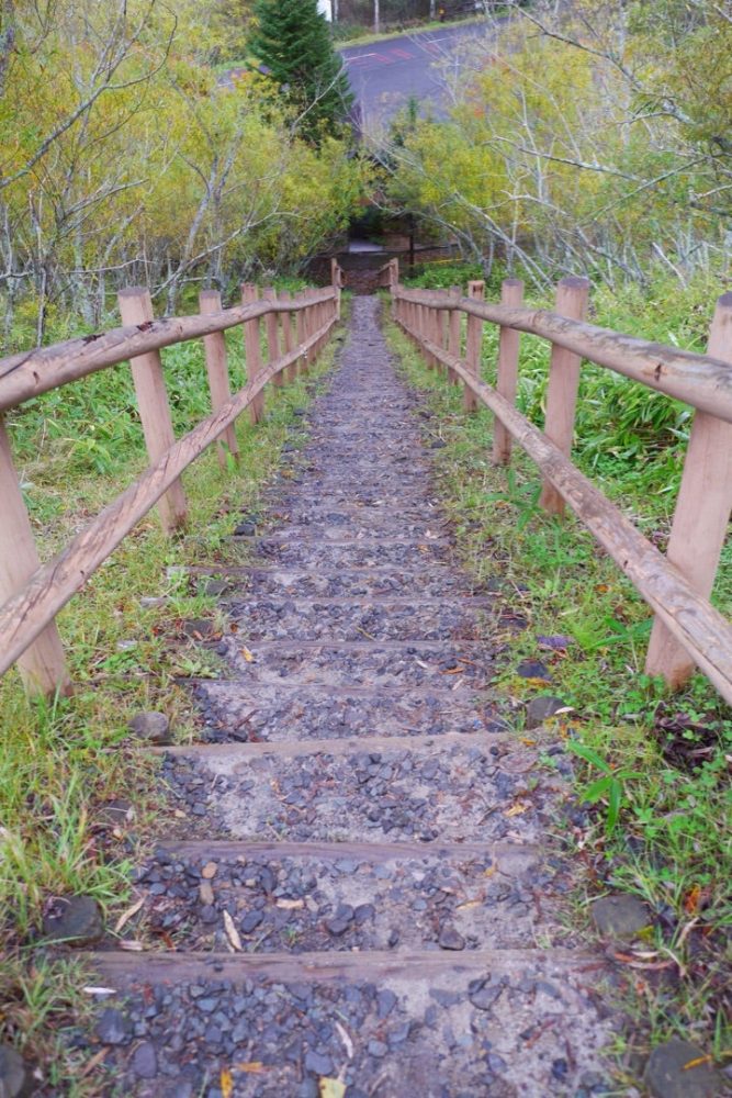 大自然を感じられるコッタロ湿原展望台でエゾシカに遭遇したよ／北海道標茶町