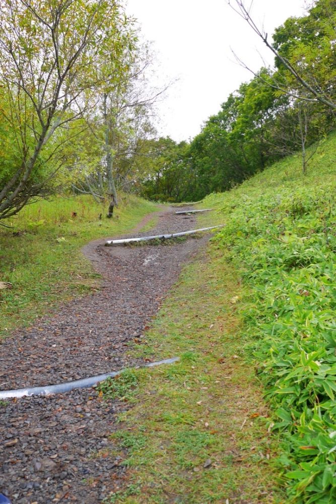 大自然を感じられるコッタロ湿原展望台でエゾシカに遭遇したよ／北海道標茶町