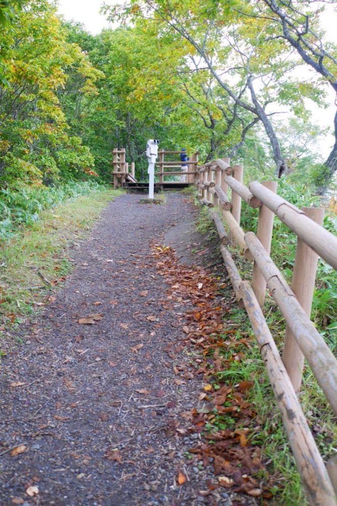 大自然を感じられるコッタロ湿原展望台でエゾシカに遭遇したよ／北海道標茶町