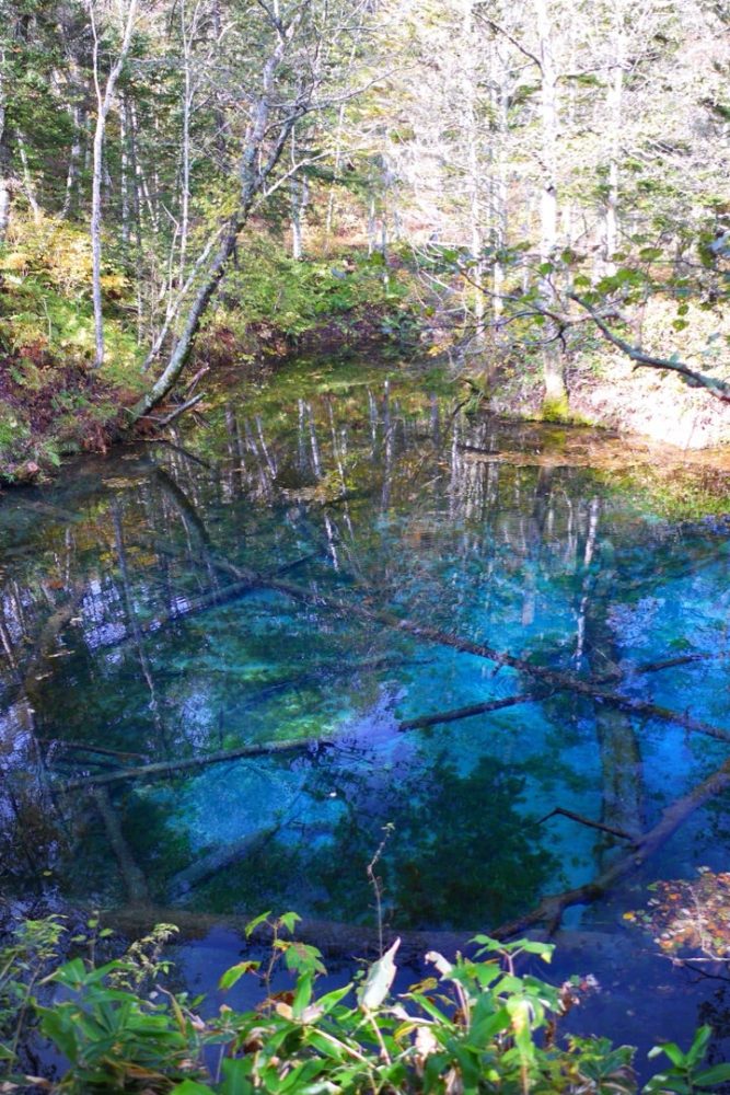 摩周湖の伏流水からできているという言い伝えのある池「神の子池」／北海道清里町