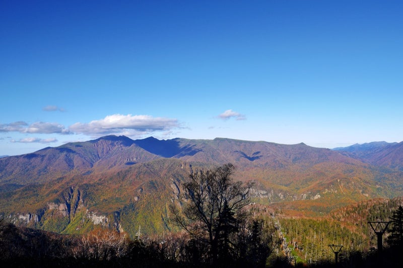 大雪山層雲峡・黒岳ロープウェイ＆リフトで峡谷を彩る紅葉を見たよ／北海道大雪山国立公園