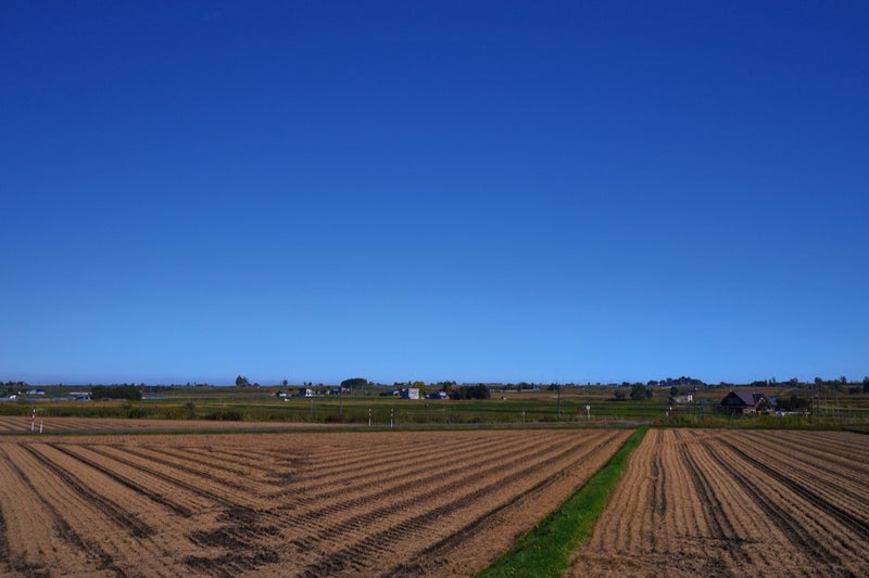 青い空と美しいコントラストの「展望花畑 四季彩の丘」／北海道美瑛町