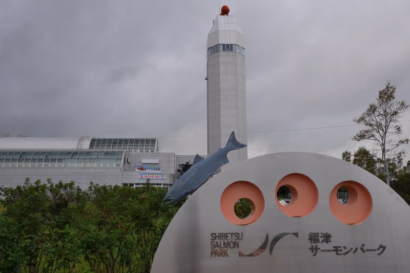 標津サーモンパーク内のサーモン科学館（サケの水族館）で鮭の遡上見たよ／北海道標津町