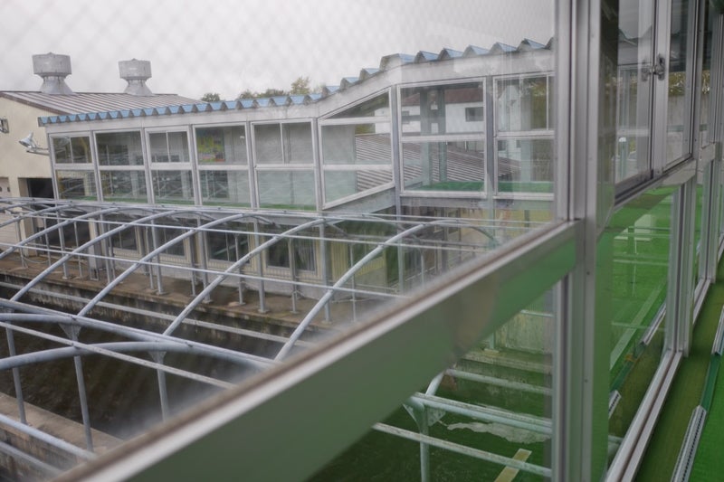 標津サーモンパーク内のサーモン科学館（サケの水族館）で鮭の遡上見たよ／北海道標津町