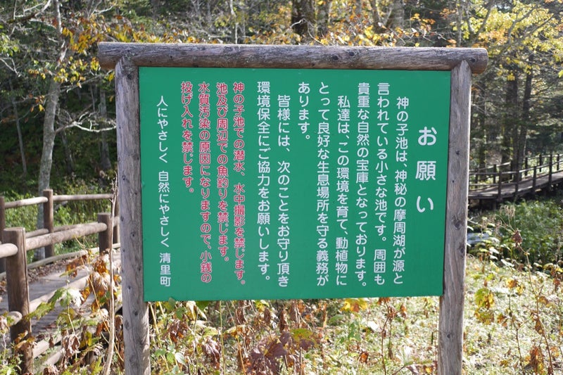 摩周湖の伏流水からできているという言い伝えのある池「神の子池」／北海道清里町