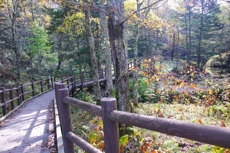 摩周湖の伏流水からできているという言い伝えのある池「神の子池」／北海道清里町