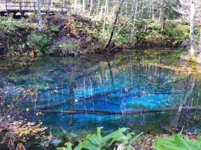 摩周湖の伏流水からできているという言い伝えのある池「神の子池」／北海道清里町