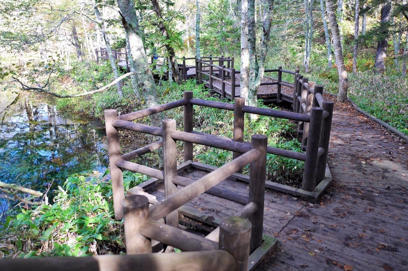 摩周湖の伏流水からできているという言い伝えのある池「神の子池」／北海道清里町