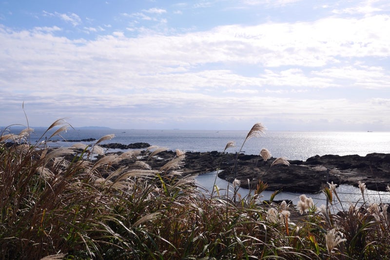 三浦半島の先端に位置する城ヶ島の「ウミウ展望台」と「馬の背洞門」