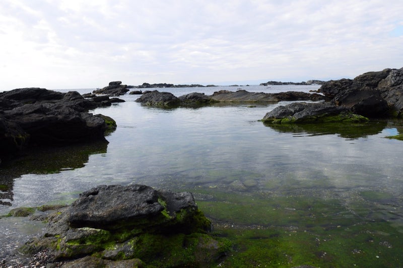 三浦半島の先端に位置する城ヶ島の「ウミウ展望台」と「馬の背洞門」