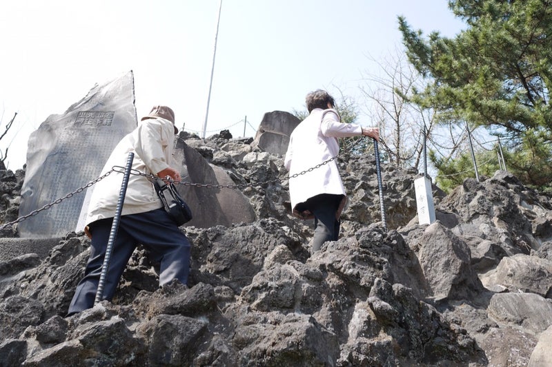 東京都内最大の富士塚がある北品川の総鎮守「品川神社」