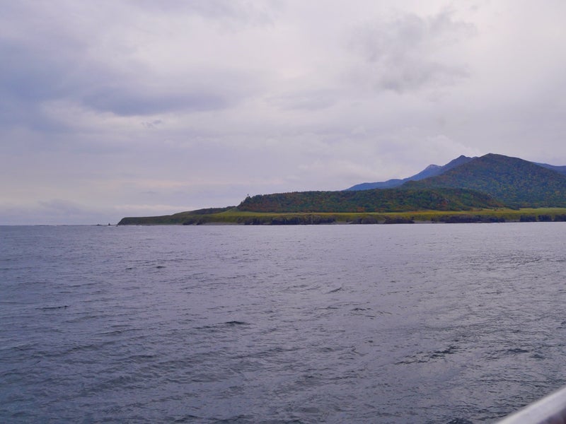 世界自然遺産「知床クルーズ」でカムイワッカの滝と野生のヒグマ見たよ／北海道知床